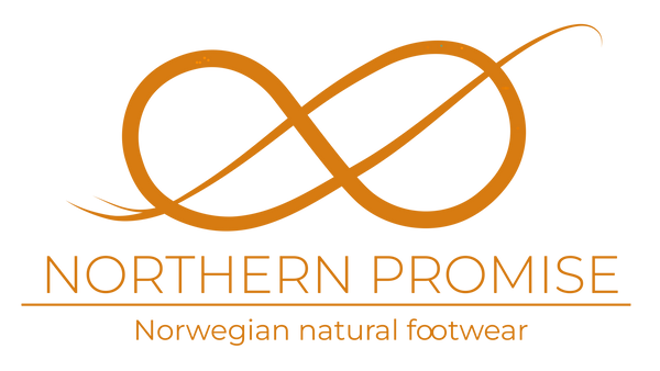Northern Promise